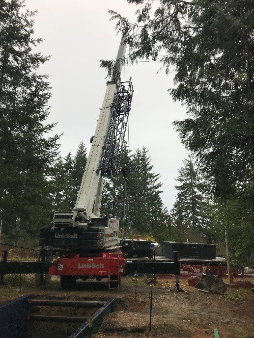 A crane is in the middle of a forest.